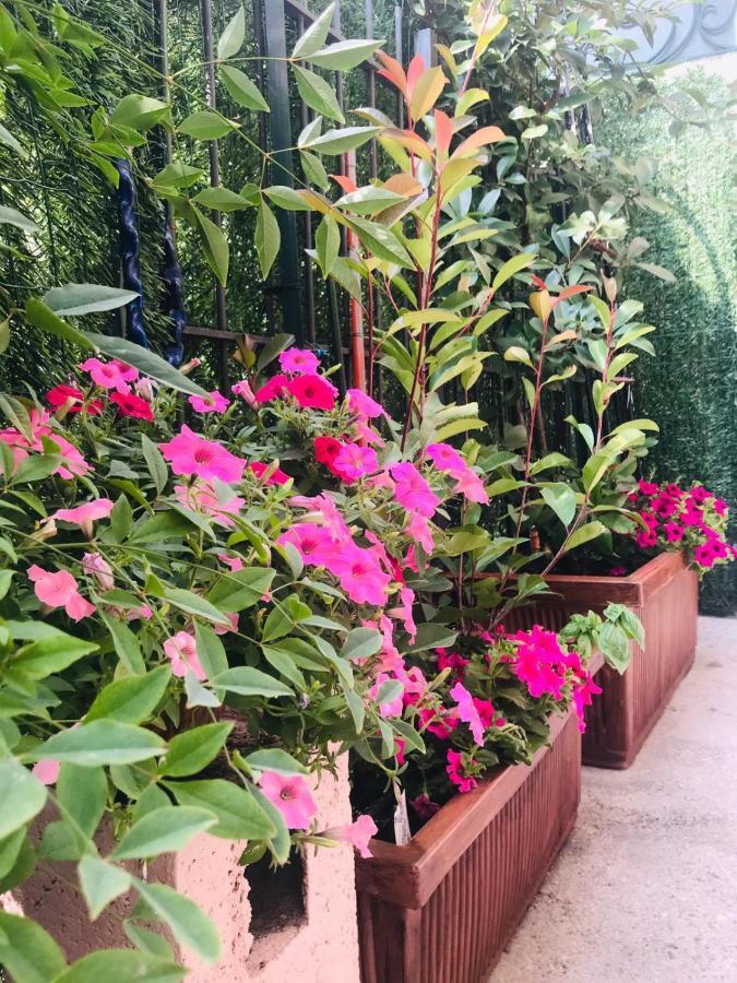 Oasi Di Paradiso - Comfy Private Apartment On Ground Floor With Terrace Desenzano del Garda Exterior photo